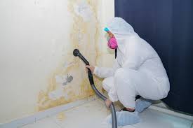  Wilder, ID Mold Removal Services Pros